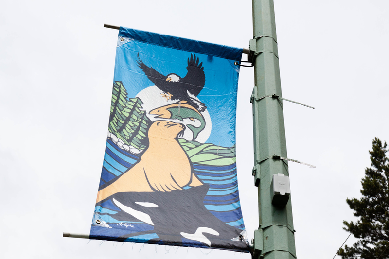 Illustration for article titled Pics from the 2017 North Island Roadtrip: 2017-06-17 at Gold River